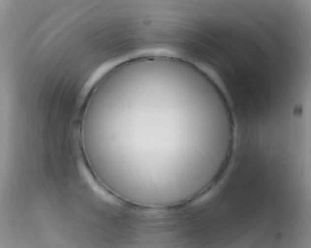 X0000114690989200910211050
