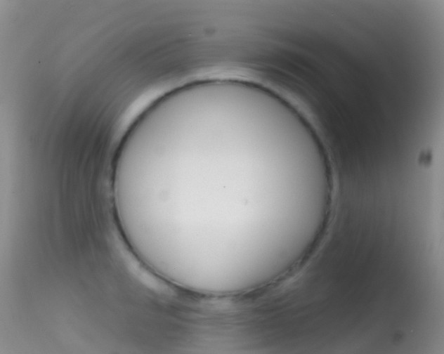 X0000114690990200910211050