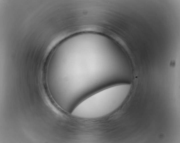 X0000114690991200910211050