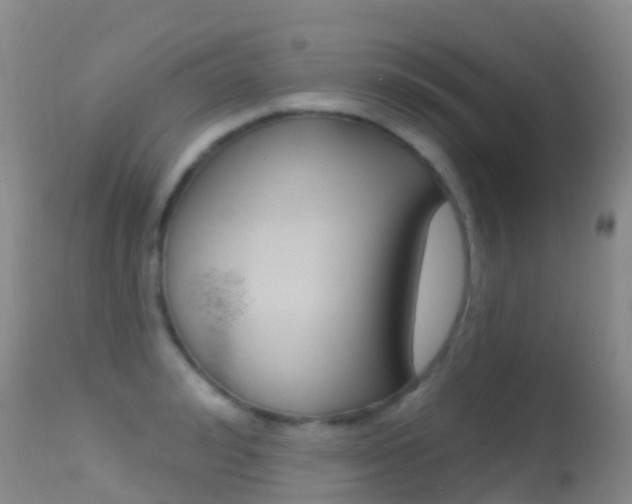 X0000114690992200910211050
