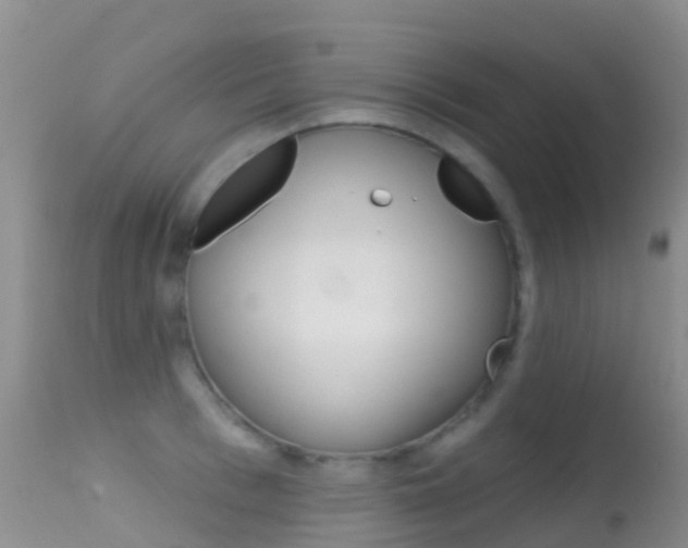 X0000114690993200910211050