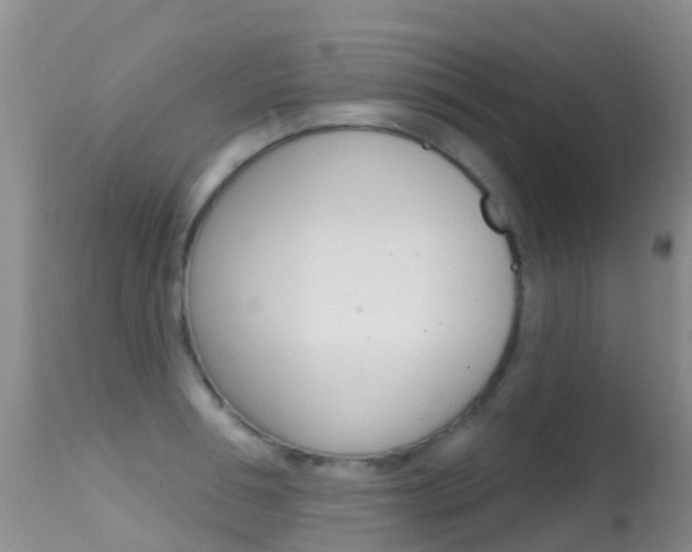 X0000114690994200910211050