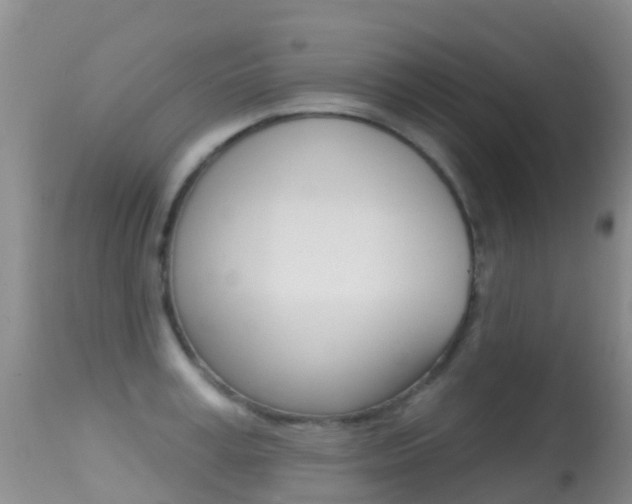 X0000114690995200910211050