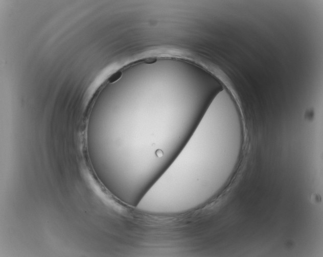 X0000114690997200910211050