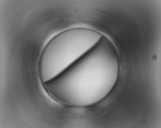 X0000114690999200910211050
