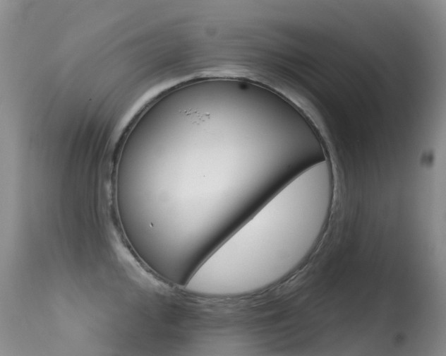 X0000114691000200910211050