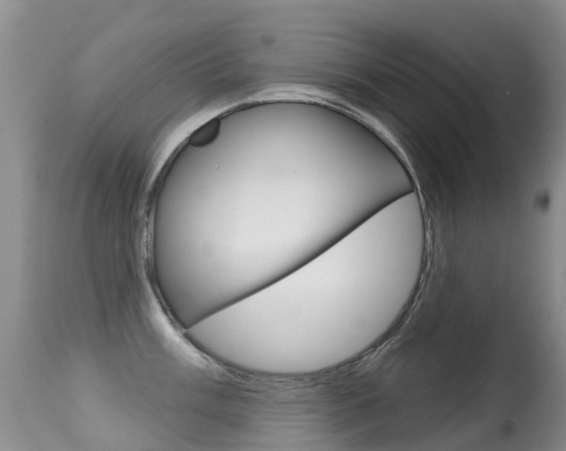 X0000114691003200910211050