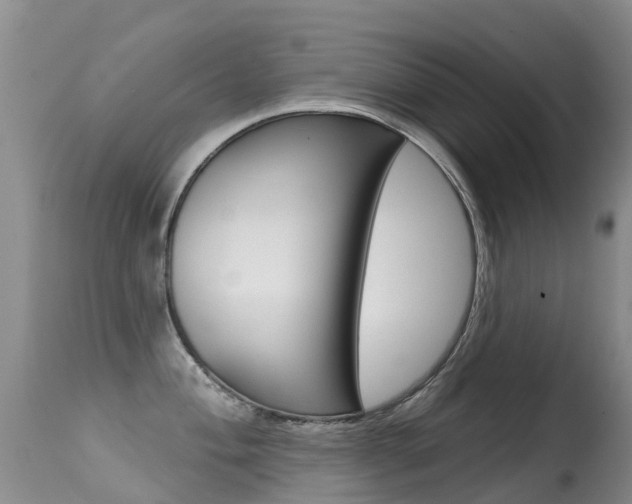 X0000114691004200910211050