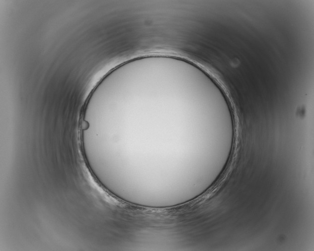 X0000114691006200910211050