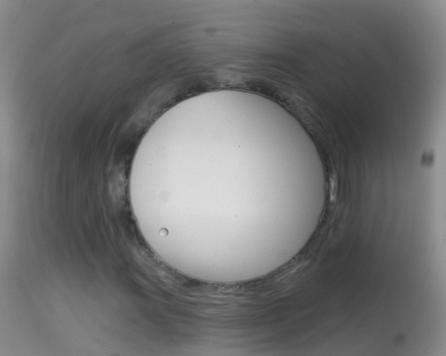 X0000114691011200910211049