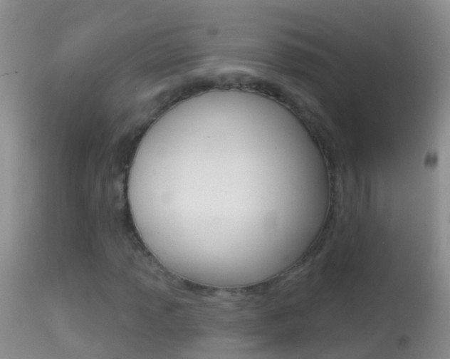 X0000114691013200910211049