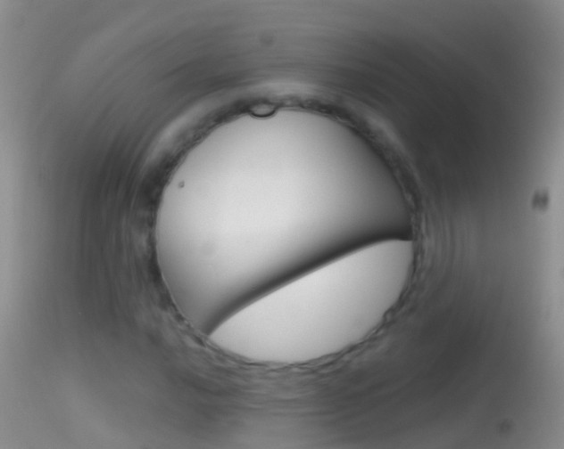 X0000114691016200910211049