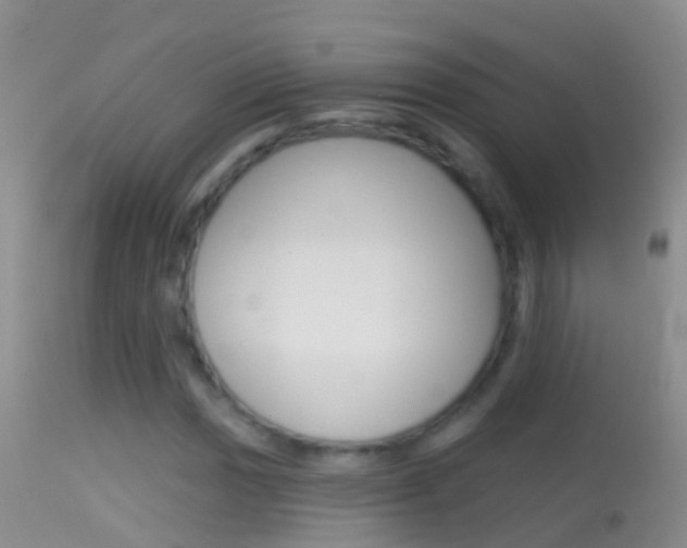 X0000114691017200910211049