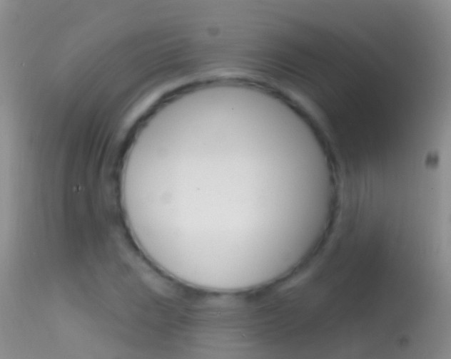 X0000114691023200910211049