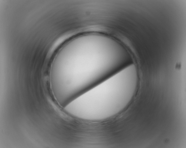 X0000114691024200910211049