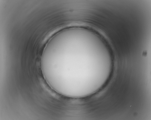 X0000114691025200910211049