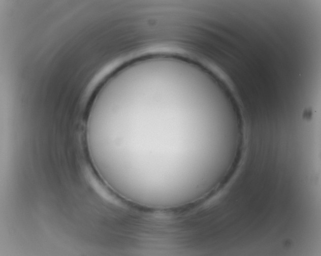 X0000114691029200910211050