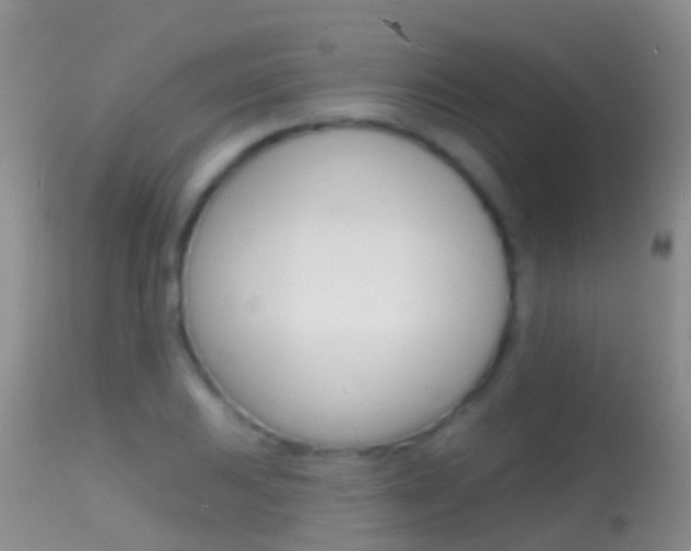 X0000114691031200910211050