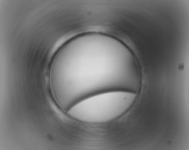 X0000114691032200910211050