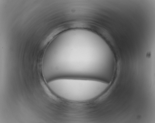 X0000114691033200910211050