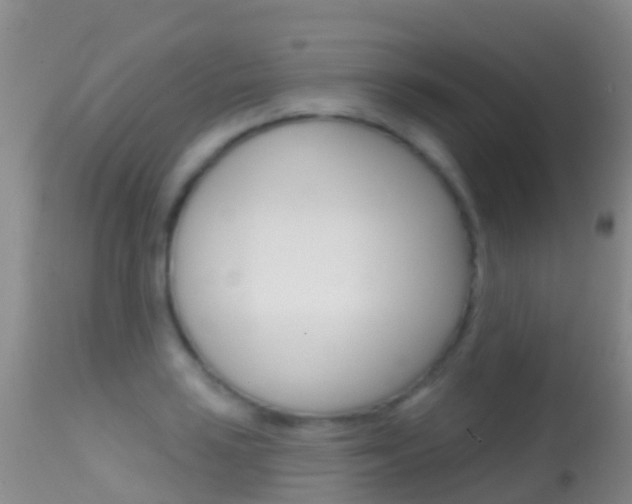 X0000114691035200910211050