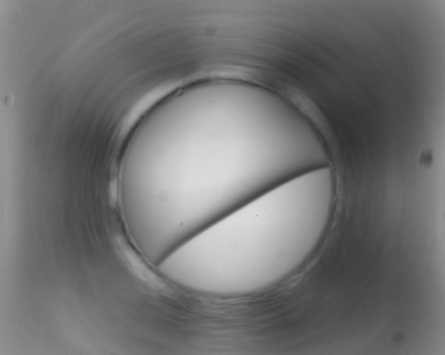 X0000114691036200910211050