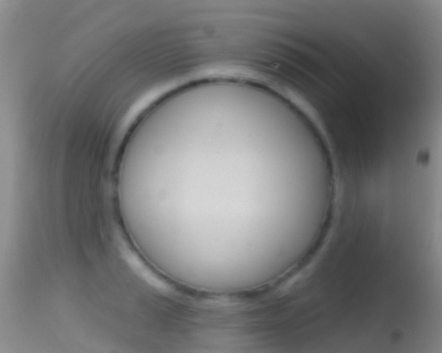 X0000114691037200910211050