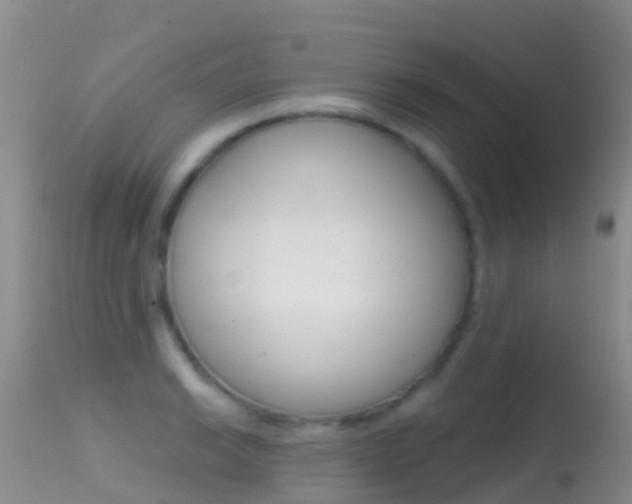 X0000114691038200910211050