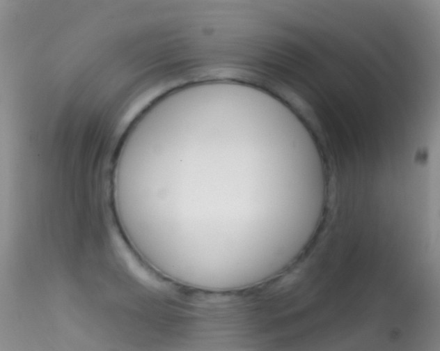 X0000114691039200910211050