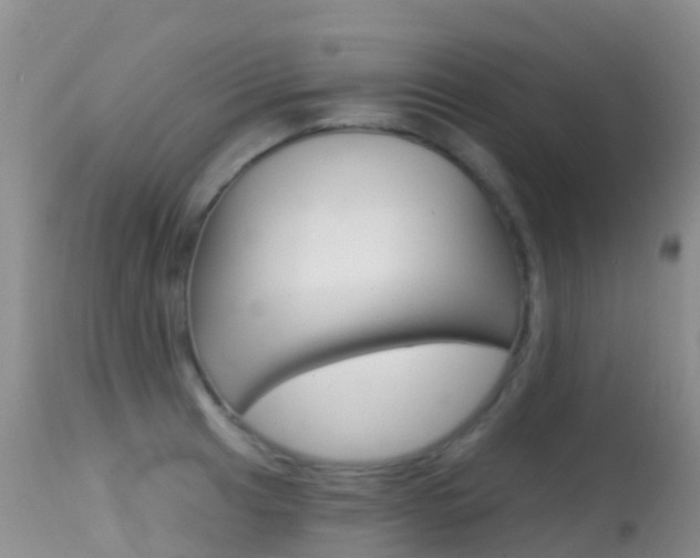 X0000114691041200910211050