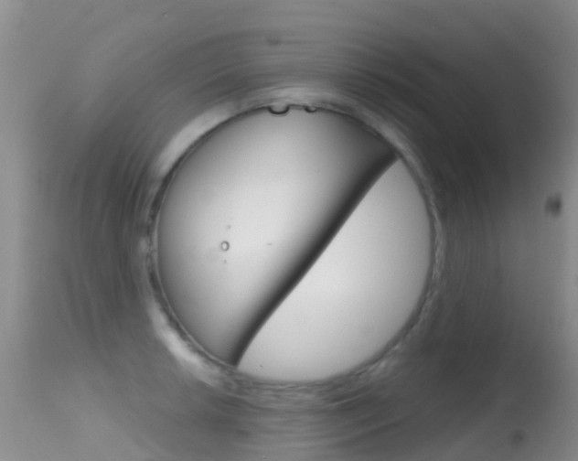 X0000114691042200910211050
