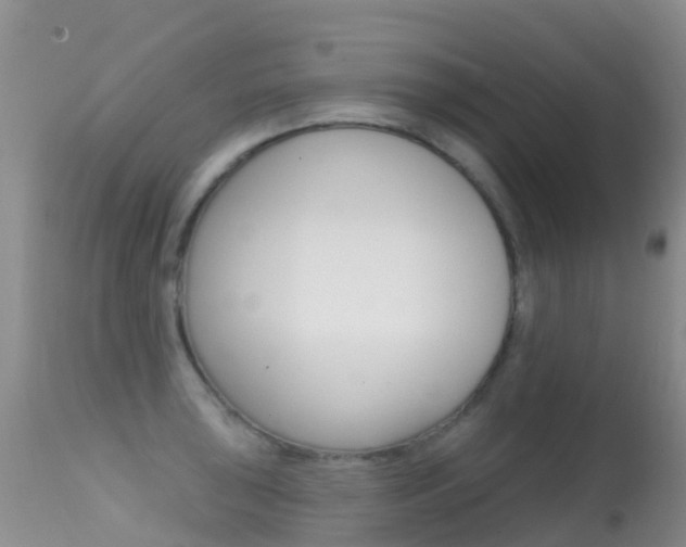 X0000114691043200910211050