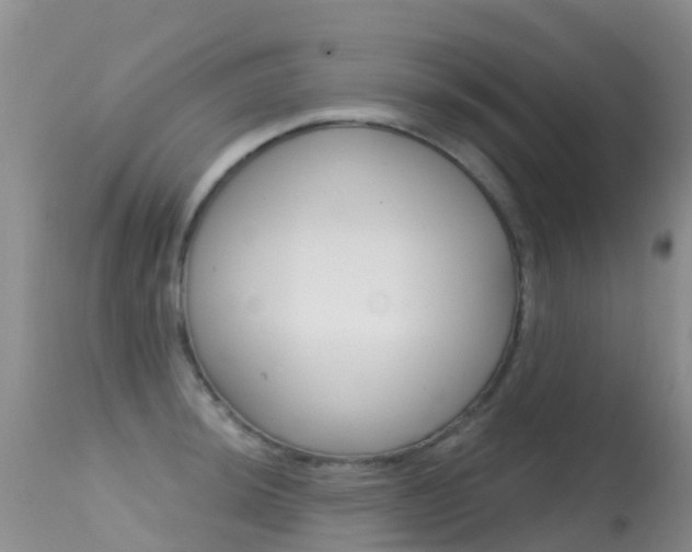 X0000114691044200910211050