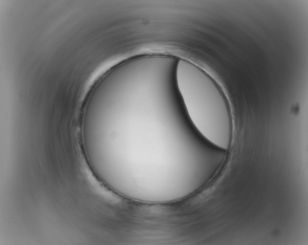 X0000114691045200910211050