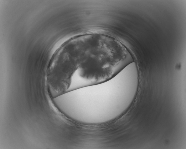 X0000114691047200910211050