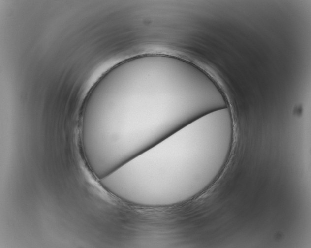 X0000114691048200910211050