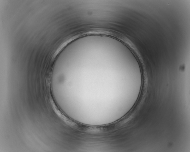 X0000114691049200910211050