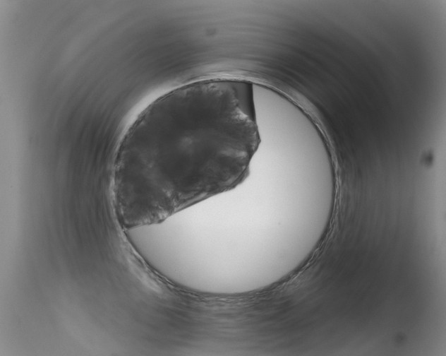 X0000114691051200910211050
