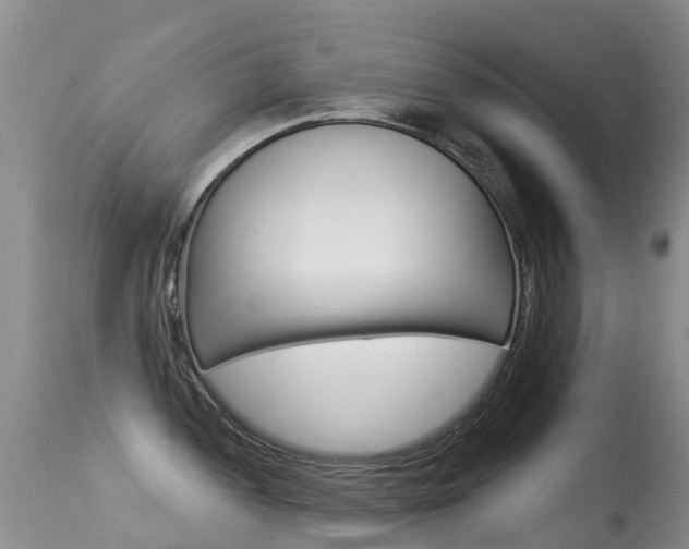 X0000114691052200910211050