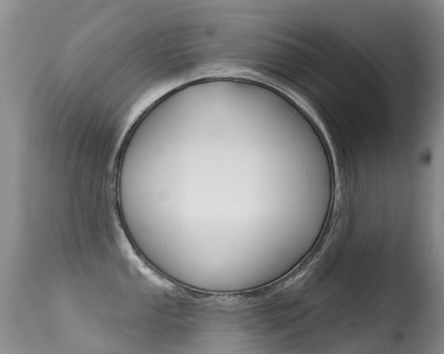 X0000114691053200910211050