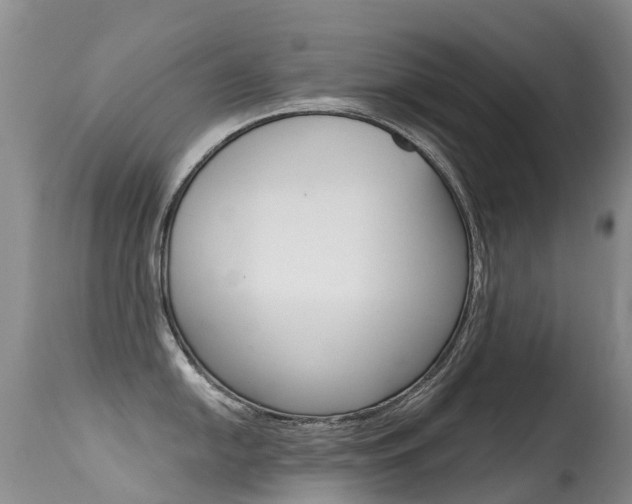 X0000114691054200910211050