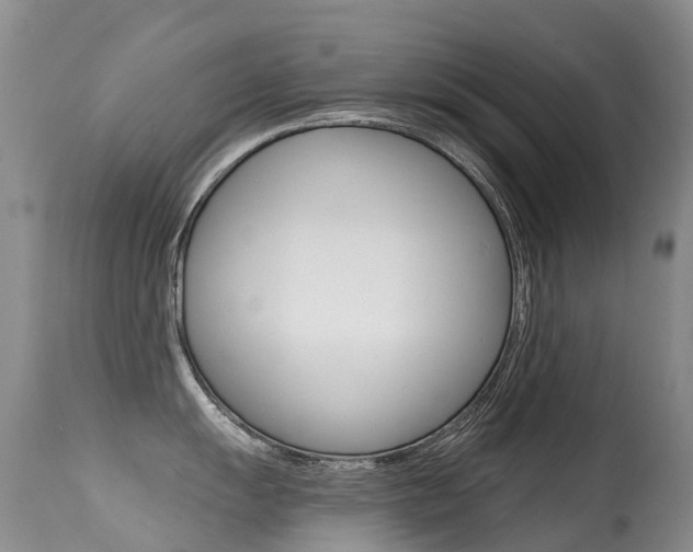 X0000114691055200910211050