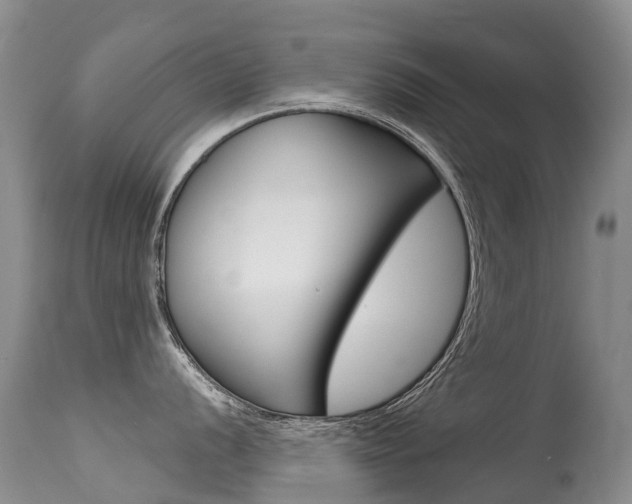 X0000114691056200910211050