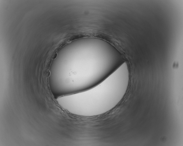 X0000114691057200910211049
