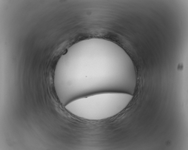 X0000114691058200910211049