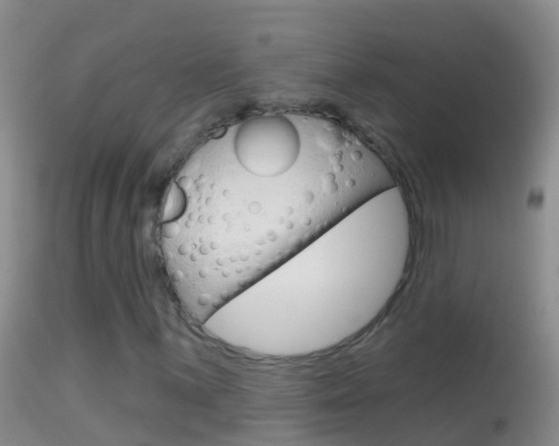 X0000114691059200910211049