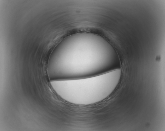 X0000114691060200910211049