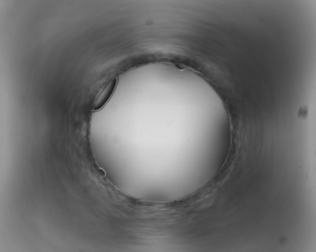 X0000114691061200910211049