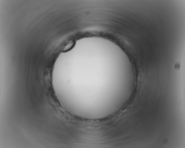 X0000114691062200910211049