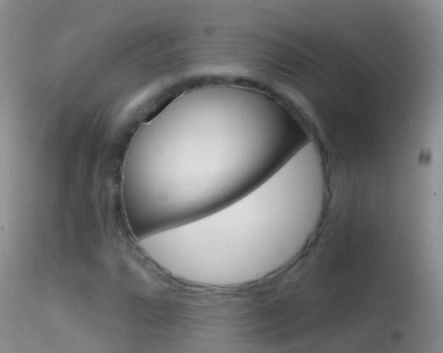 X0000114691064200910211049